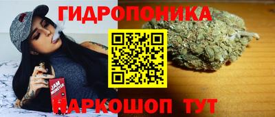 скорость Новозыбков