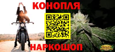наркотики Новодвинск