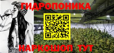 скорость Новозыбков